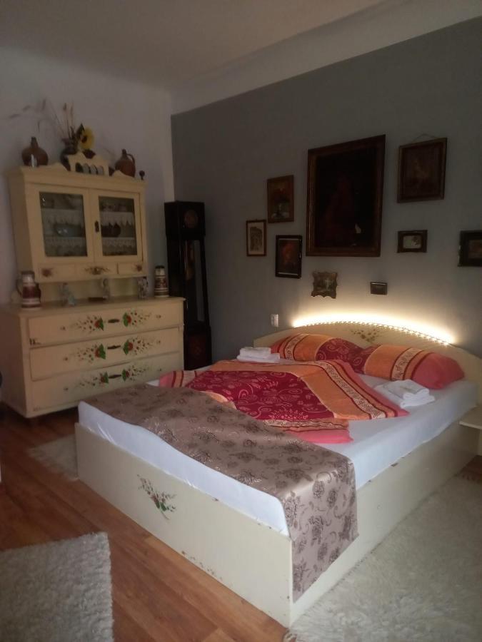 Casa Elena Apartment Sighişoara Exterior foto