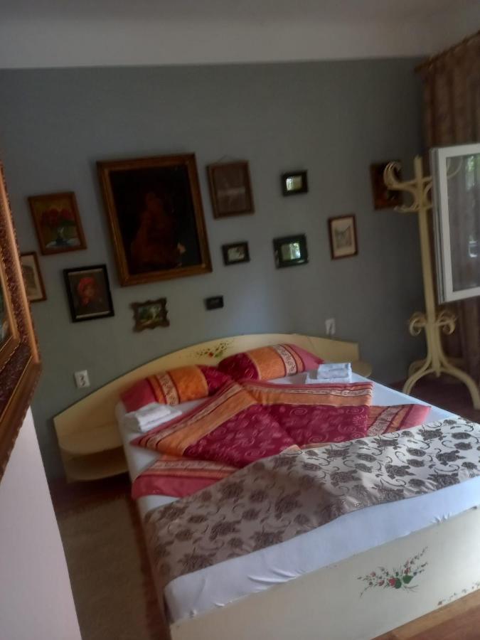 Casa Elena Apartment Sighişoara Exterior foto
